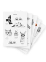 Pack Stickers