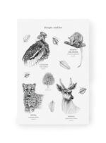 Stickers Bosque andino