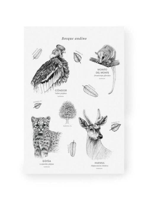 Stickers Bosque andino