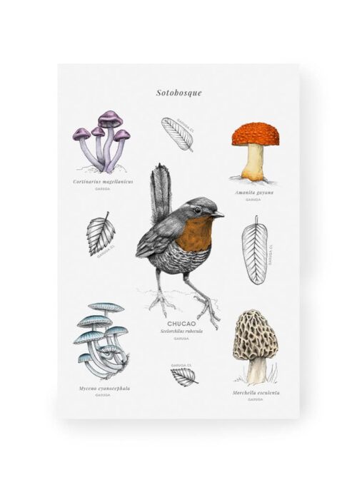 Stickers Sotobosque