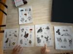 Pack Stickers