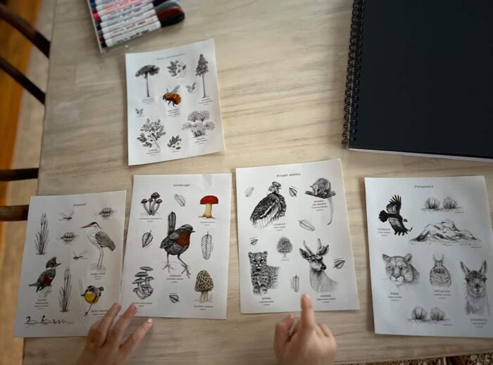 Pack Stickers