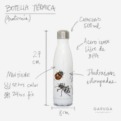Anatomias botellas