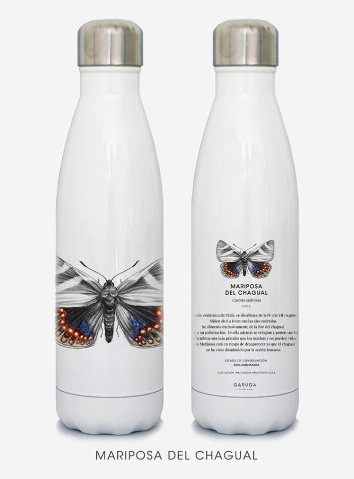 Botella Térmica - Mariposa del Chagual