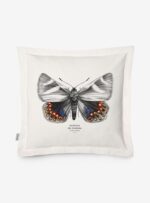Funda Cojín- Mariposa del Chagual