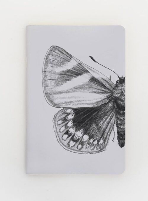 Libreta - Mariposa del chagual