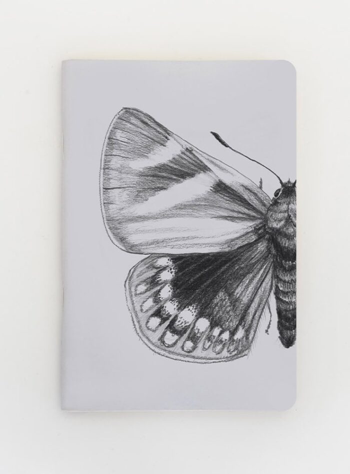 Libreta - Mariposa del chagual
