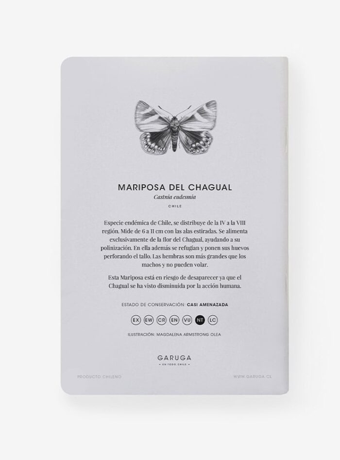 Libreta - Mariposa del chagual