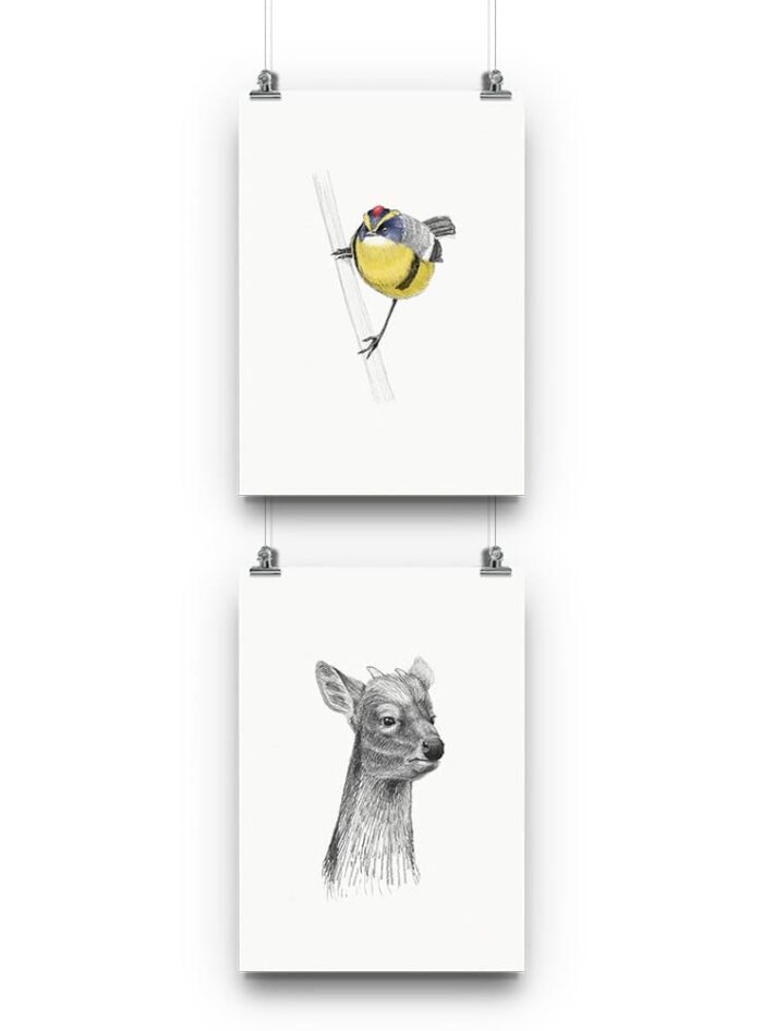 Pack 2 láminas para enmarcar