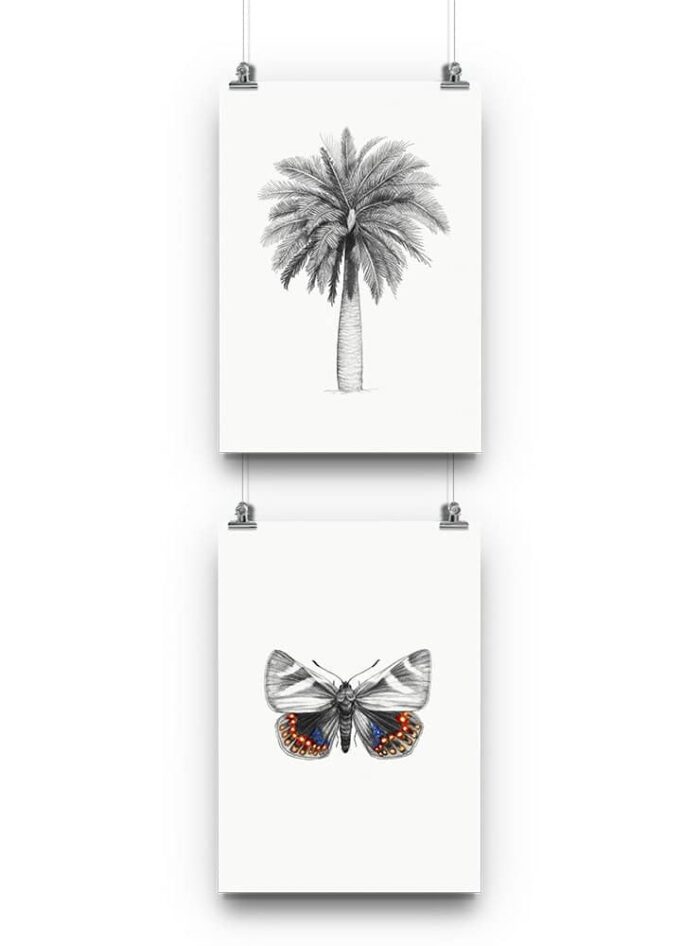 Pack 2 láminas para enmarcar