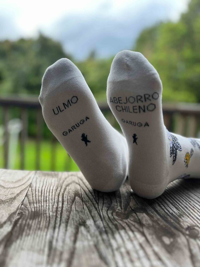 Calcetines Polinización