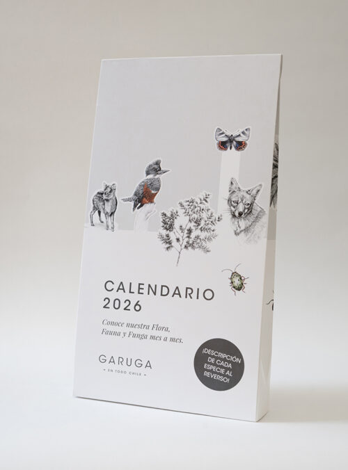 calendario 2026_0000_6