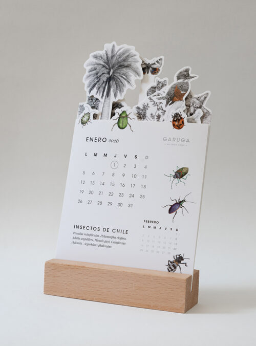 calendario 2026_0002_4