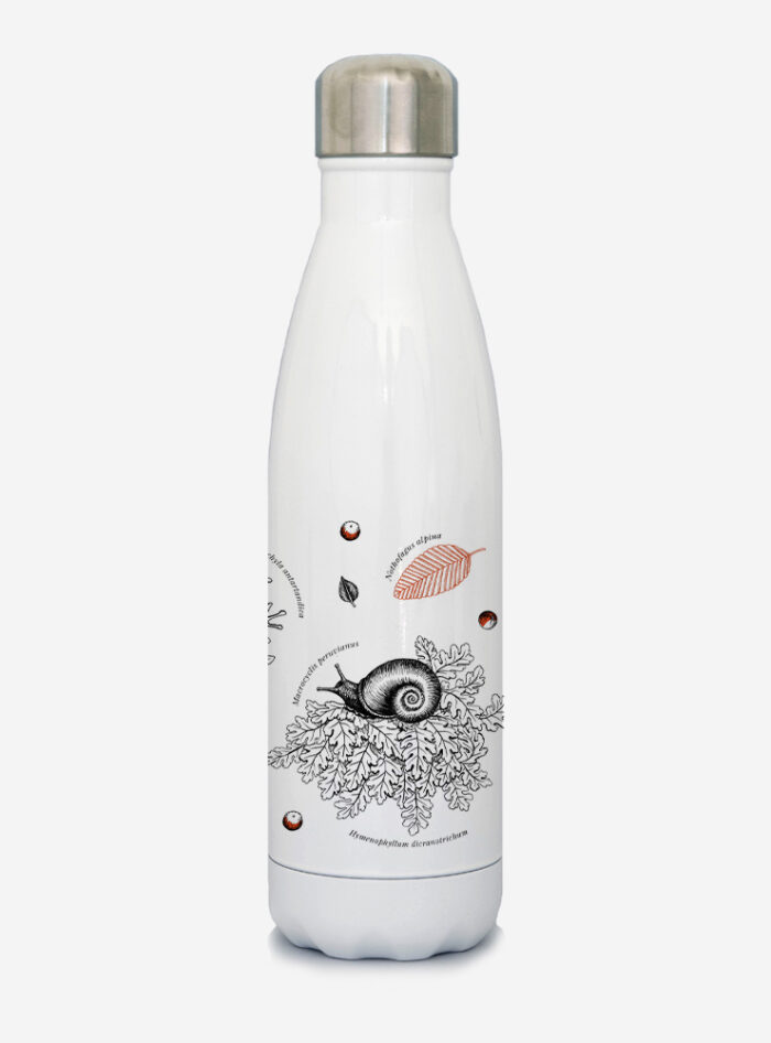 Botella Térmica - Sotobosque