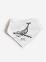 Babero Ballena Jorobada