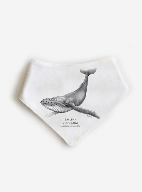 Babero Ballena Jorobada