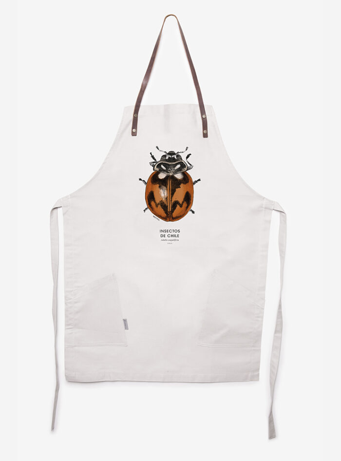 Delantal - Adalia angulifera