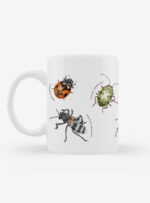 Tazón - Insectos de Chile