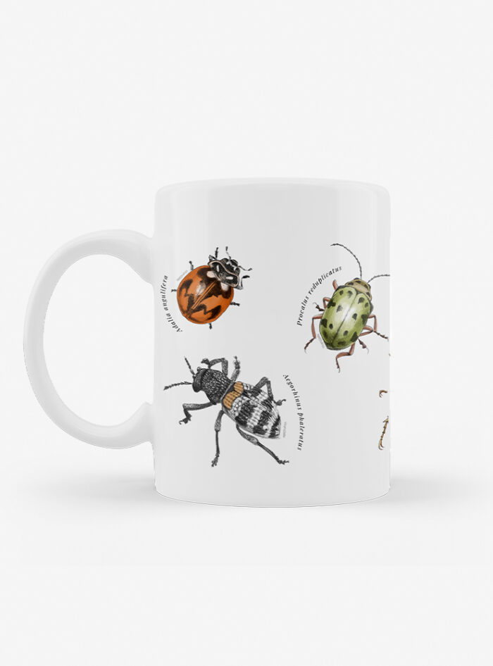 Tazón - Insectos de Chile