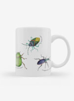 Tazón - Insectos de Chile