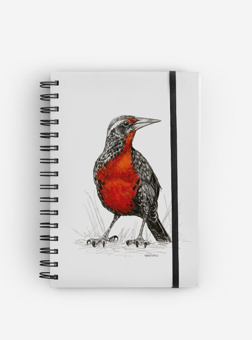 Cuaderno Loica