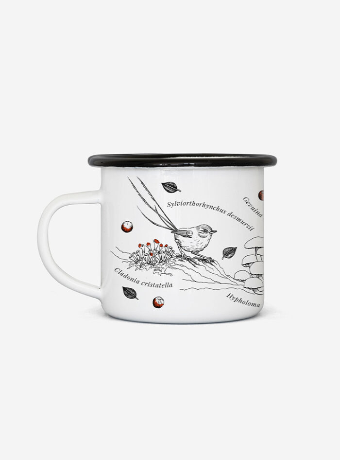 Pack Felino aventurero