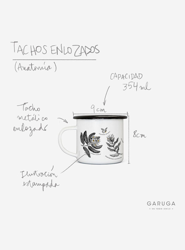 Tacho Enlozado Insectos
