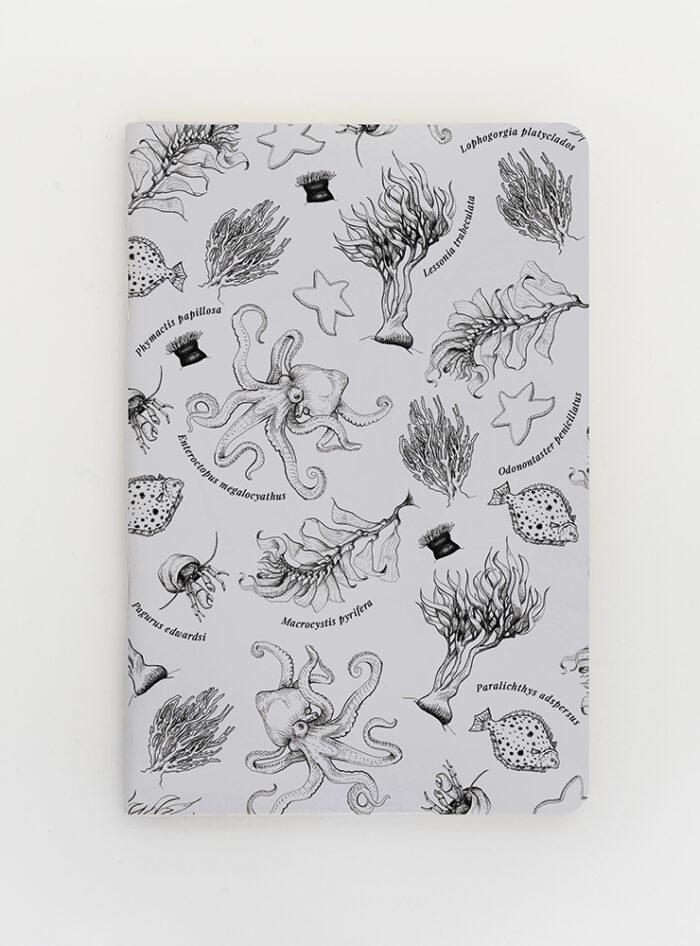 Libreta - Fondo Marino