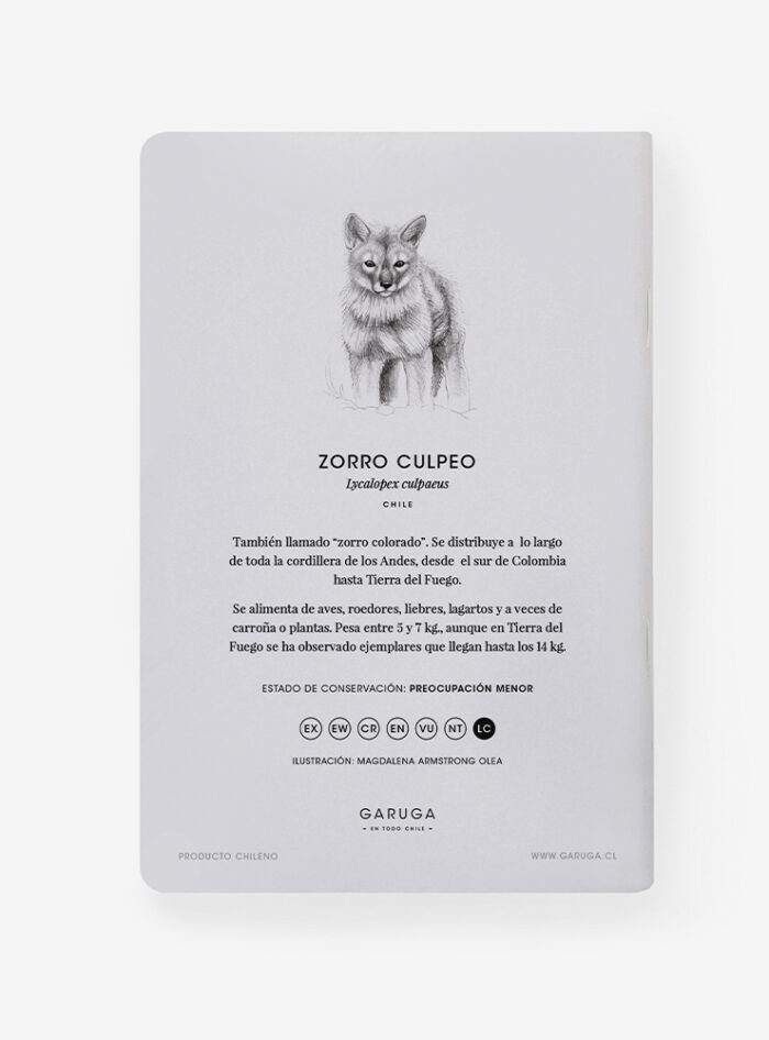 Libreta - Zorro cachorro