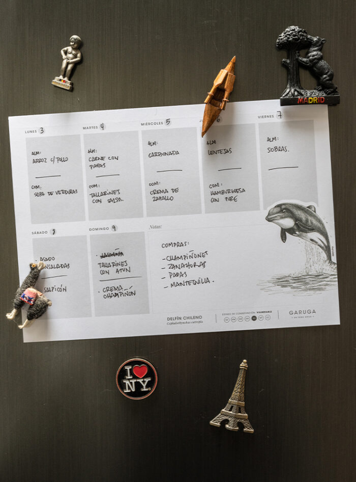 Planificador Semanal
