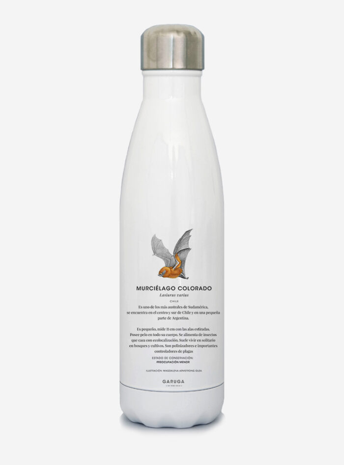 Botella Térmica - Murciélago Colorado