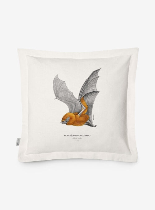 Funda Cojín- Murciélago Colorado