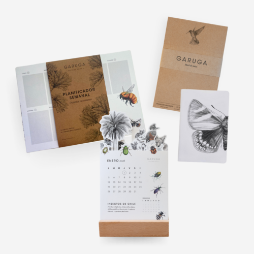 Pack 2026 organizado