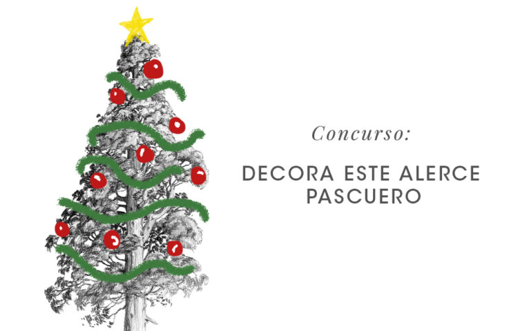 alerce PASCUERO BLOG