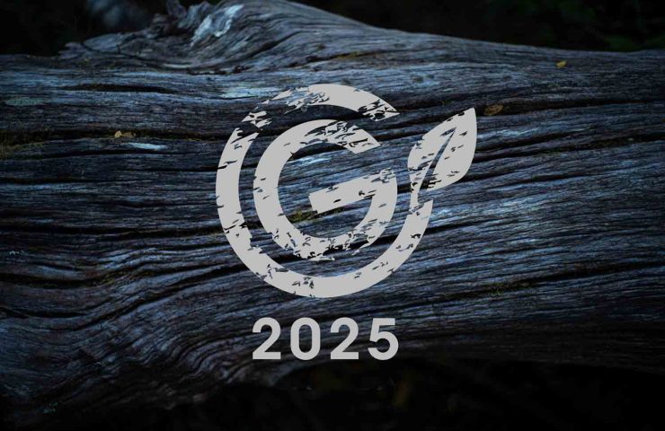 portada-cg-25