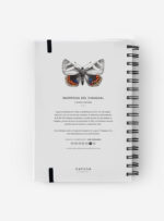 Cuaderno Mariposa del Chagual
