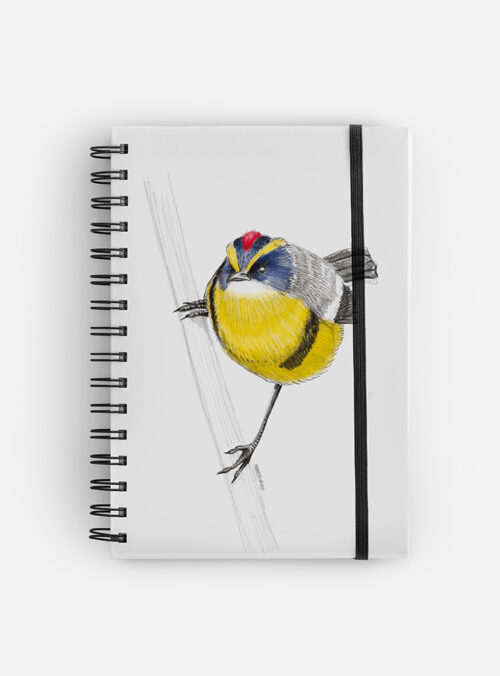 Cuaderno Siete Colores