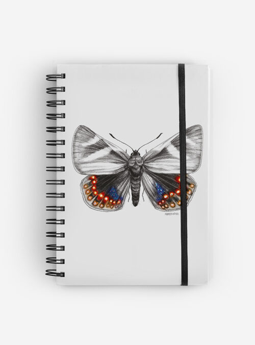 Cuaderno Mariposa del Chagual