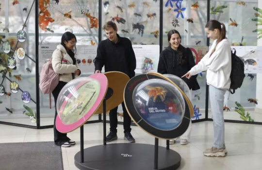 Muestra-viaja-a-Universidad-de-los-Andes-desde-el-20-de-septiembre-al-11-noviembre.-Georgina-realiza-un-Conversatorio-el-Miercoles-2-Octubre.-2024