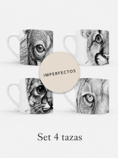 Set 4 tazas Imperfectas