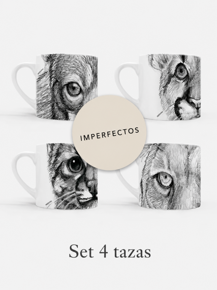 Set 4 tazas Imperfectas