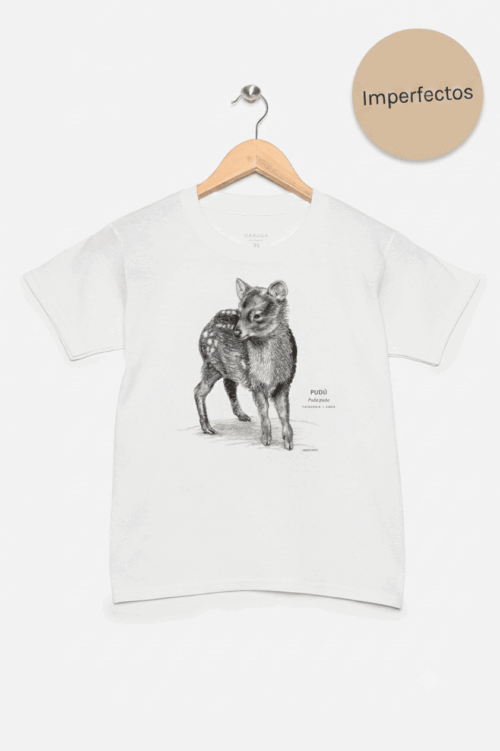 Polera Niño Imperfecta