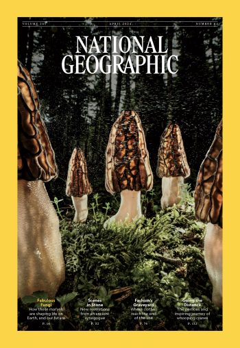 1.-National-Geographic_s-cover---Fungi